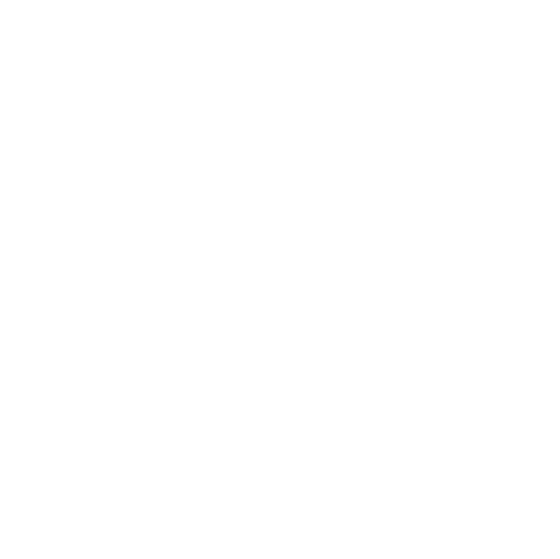 Schlenk ve Vakum Manifoldu