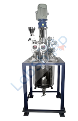 Nanomag Yüksek Basınçlı Laboratuvar Otoklavları / Karıştırmalı Reaktörler 1000 serisi 750 ml