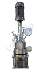 Nanomag Yüksek Basınçlı Laboratuvar Otoklavları / Karıştırmalı Reaktörler 1000 serisi 750 ml